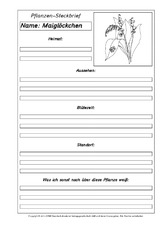Pflanzensteckbriefvorlage-Maiglöckchen-SW.pdf